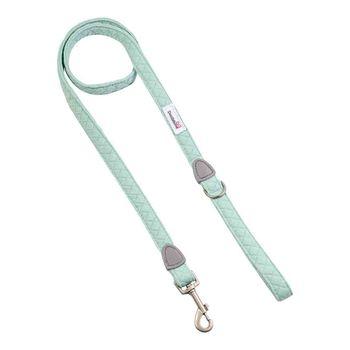 Doodlebone Dinky Dog Lead Mint 15mm