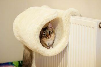 Rosewood Luxury Cat Tunnel White