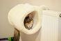 Rosewood Luxury Cat Tunnel White