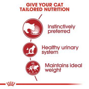 Royal Canin Instinctive Wet Cat Food in Gravy 48x85g