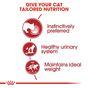 Royal Canin Instinctive Wet Cat Food in Gravy 48x85g
