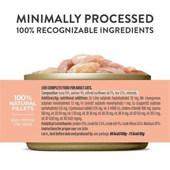 Schesir Complete and Balanced Wet Cat Food Salmon Fillet in Jelly 85g