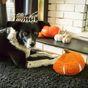 Rosewood Snuffle Pumpkin Halloween Dog Toy