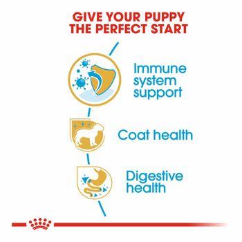 Royal Canin Dry Dog Food Yorkshire Terrier Junior 1.5kg