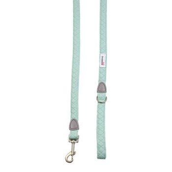 Doodlebone Dinky Dog Lead Mint 20mm