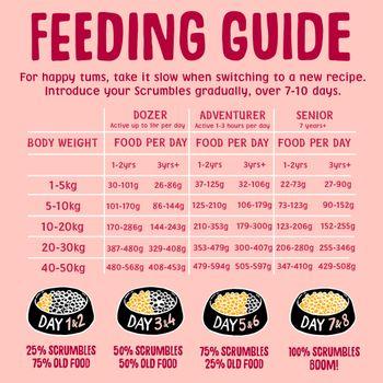 Scrumbles Dry Dog Food for Adult & Seniors Salmon 2kg