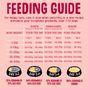 Scrumbles Dry Dog Food for Adult & Seniors Salmon 2kg