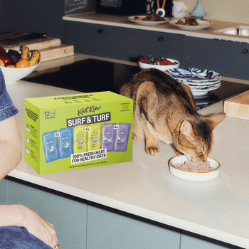 KatKin SURF & TURF Fresh Cat and Kitten Food, Variety Pack (Fish, Beef & Turkey) 12x80g