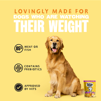 Barking Heads Fat Dog Slim 300g