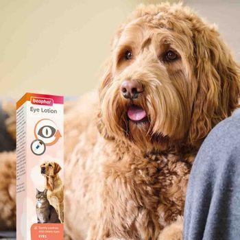 Beaphar Eye Drop Lotion for Dogs & Cats, 50ml