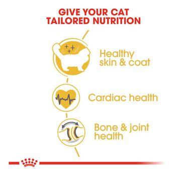 Royal Canin Ragdoll Dry Cat Food, 2kg