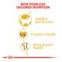 Royal Canin Ragdoll Dry Cat Food, 2kg