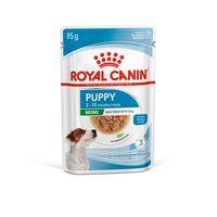 Royal Canin Puppy Small Breed Wet Dog Food in Gravy 48x85g