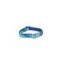 Rufus & Rosie Seashore Blue Adjustable Dog Collar, Medium