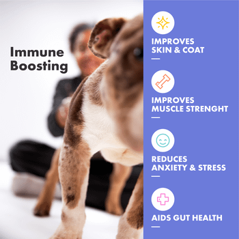 DotDotPet Multifit Multivitamin Gummies Dog 125g