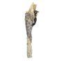 Jollyes Fish Stick Single Dog Treat