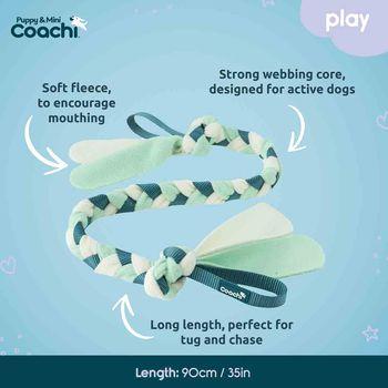 Coachi Puppy & Mini Tuggi Tug Dog Toy Teal & Mint