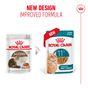 Royal Canin FHN Ageing 11+ Wet Cat Food in Gravy 12x85g