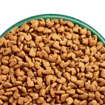 James Wellbeloved Senior Fish 4 kg Dry Cat Food